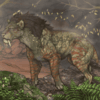 Ambient Toplight [Ennedi Vossoko]